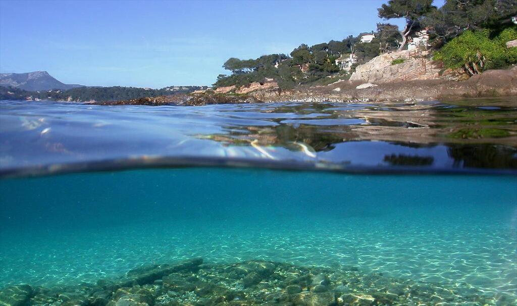 Bed and Breakfast Les Pieds Dans L'Eau Nice Exteriér fotografie